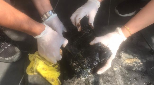 Zifte bulanan kaplumbağa kurtarıldı
