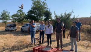 Doğaya 200 keklik salındı
