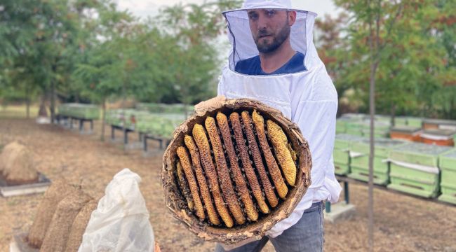 Konik sepet kovan geleneği nesilden nesile aktarılıyor