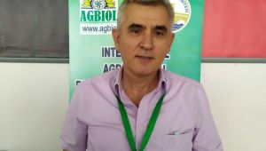 Kuraklık ve aşırı sıcaklar için yazlık bitkilerde