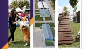 Trakya Pet Fest 2 Ekim’de başlıyor