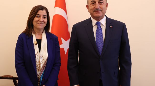 Aksal, Çavuşoğlu ile görüştü