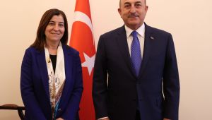 Aksal, Çavuşoğlu ile görüştü