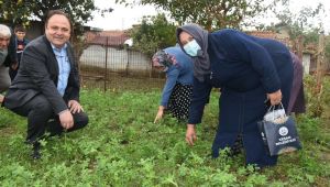 Balcı, çiftçi kadınları ziyaret etti