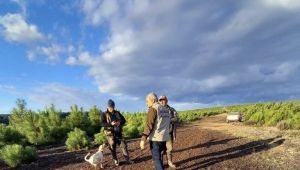 DKMP, 570 avcıyı denetledi