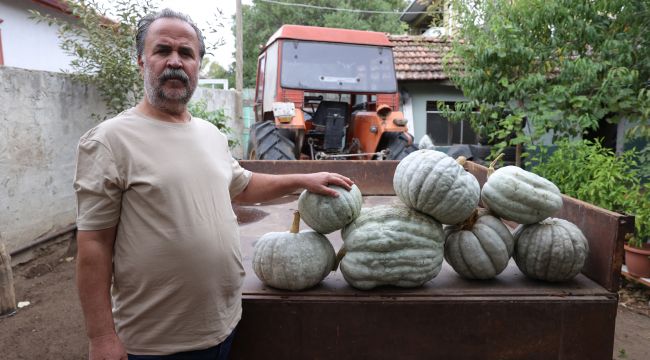 Karaağaç halkı festivali dört gözle bekliyor