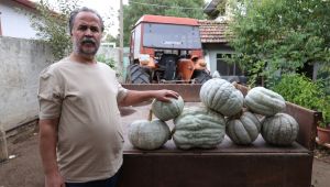 Karaağaç halkı festivali dört gözle bekliyor