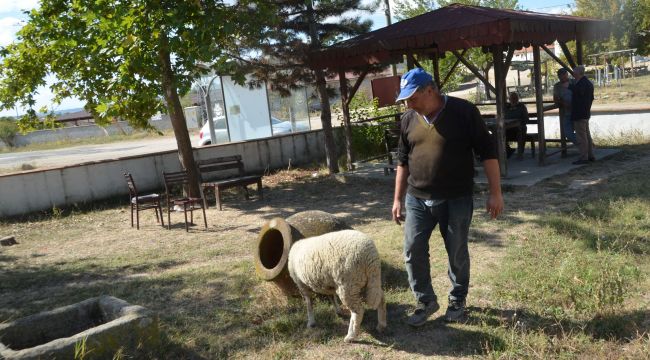 Kuzunun hem anası hem babası oldu