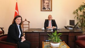 Selimiye’nin restorasyonu ihaleye çıkıyor