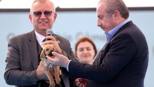 ‘Yeryüzü sadece insanlara ait değildir’