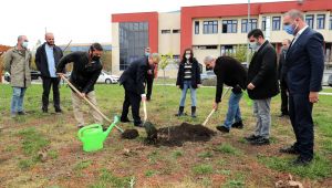 Basının Çınarına ‘Çınar’ ağacı