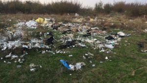‘Çöp atanlar cezalandırılmalı’