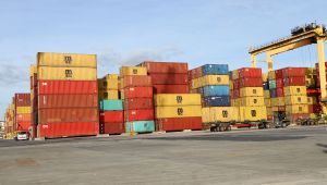 Ekim ayında 124 milyon dolar ihracat yapıldı