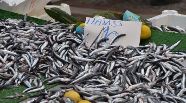 Hamsi fiyatında damping