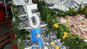 Hamsinin fiyatı vatandaşı memnun etti