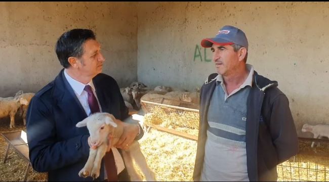 Kuzu besiciliğinin yem fiyatlarıyla başı dertte