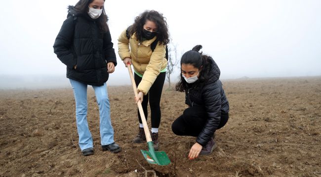 Tıbbi ve aromatik bitkiler ormanına 188 bin fidan