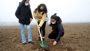 Tıbbi ve aromatik bitkiler ormanına 188 bin fidan