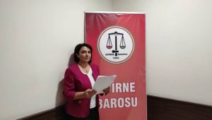 ‘Topyekün bir mücadele ile şiddeti sonlandırabiliriz’