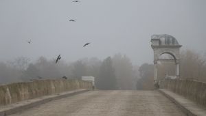 Trakya’da sis hayatı olumsuz etkiledi