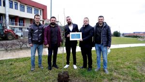 Çınarımız basın parkında yeşerecek