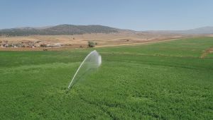 DSİ’den içme suyu eylem planı