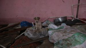 Evlerini su basan aileye devlet yardım elini uzattı