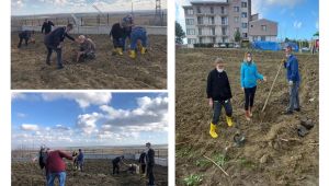 Huzurevi sakinlerinden fidan dikimi