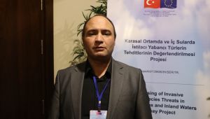 İçme suyu havzalarını 'İsrail sazanı' tehdidi