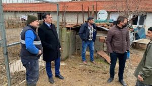 ‘Koyunlar yavrularını, kuzularda annelerini aradı’