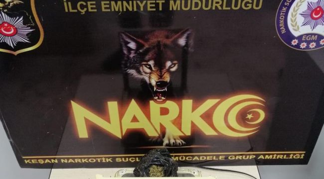 Narkotik köpeği