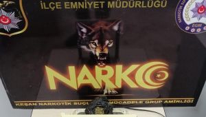 Narkotik köpeği