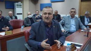 Sokak hayvanları için meclisten önerge