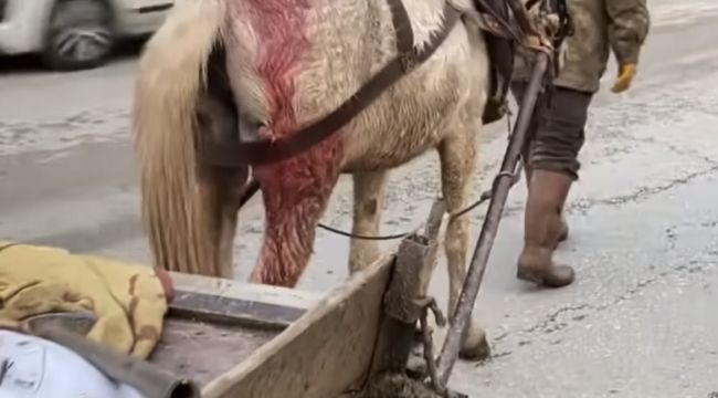 ‘Yaralı atı çalıştırmak vicdanlara sığmaz’
