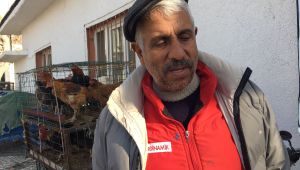 Yılbaşı hindileri bu yıl elde kaldı