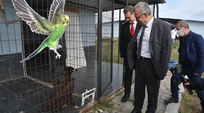 Bakımevi 6 bin sokak hayvanını misafir ediyor