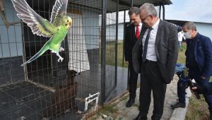 Bakımevi 6 bin sokak hayvanını misafir ediyor