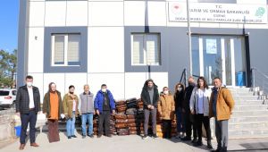 DKMP’den sokak hayvanlarına 3 ton mama