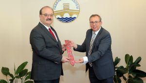 ‘Dokunmadık gönül bırakmayacağız’