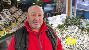 Hamsinin yerini istavrit aldı