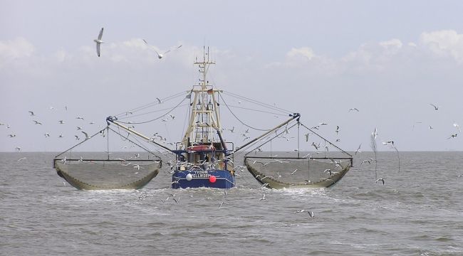 Kıyı balıkçılığı başvuruları 31 Ocak’ta