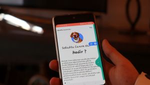 Mama kaplarının yerini gösteren mobil uygulama