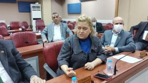 Meclis üyesi Uzgör’e ‘Sosyal Medya’ şoku