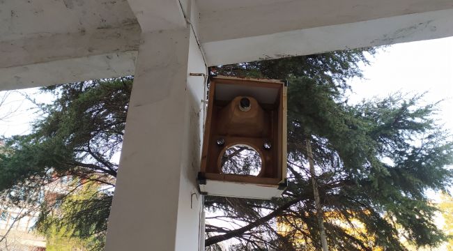 Okul bahçesinden hoparlör çalındı