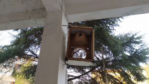 Okul bahçesinden hoparlör çalındı