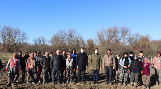 Edirne’ye bal ormanı kuruluyor