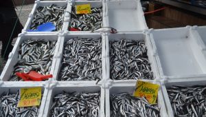 Hava şartları tezgahta çeşidi azalttı