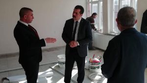 Anadolu Lisesine