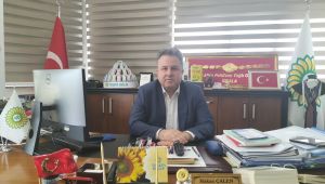 ‘Ayçiçek ihtiyacını rahatlıkla üretiriz’