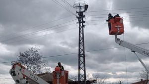 Leylekler için elektrik direklerine özel platform